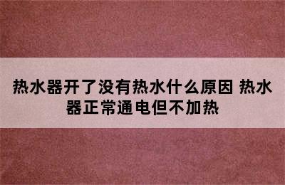 热水器开了没有热水什么原因 热水器正常通电但不加热